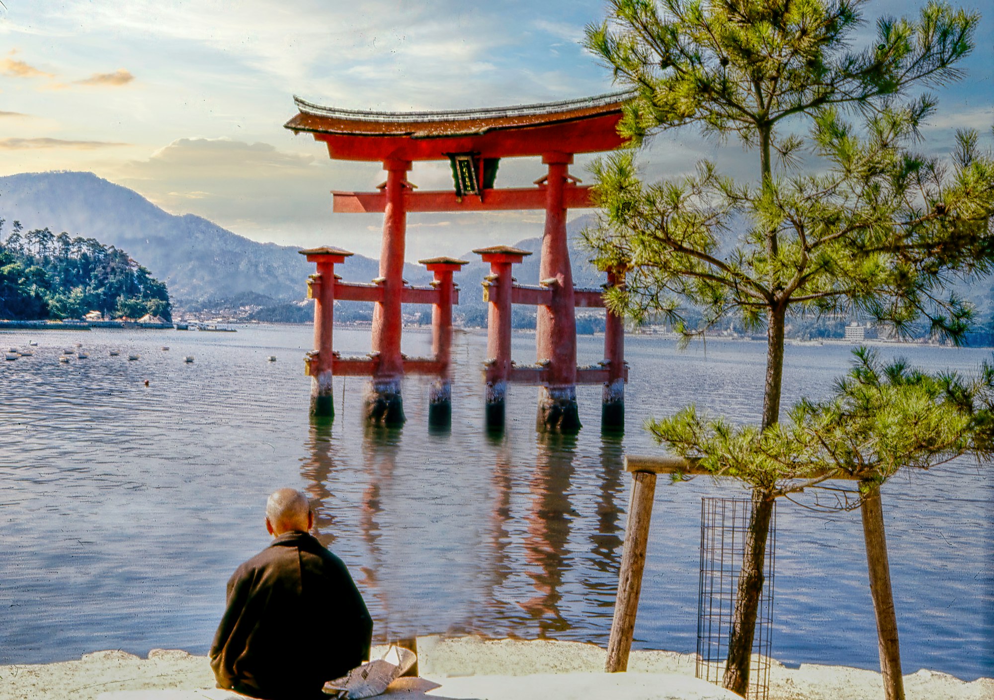 宮島の大鳥居を眺める旅人